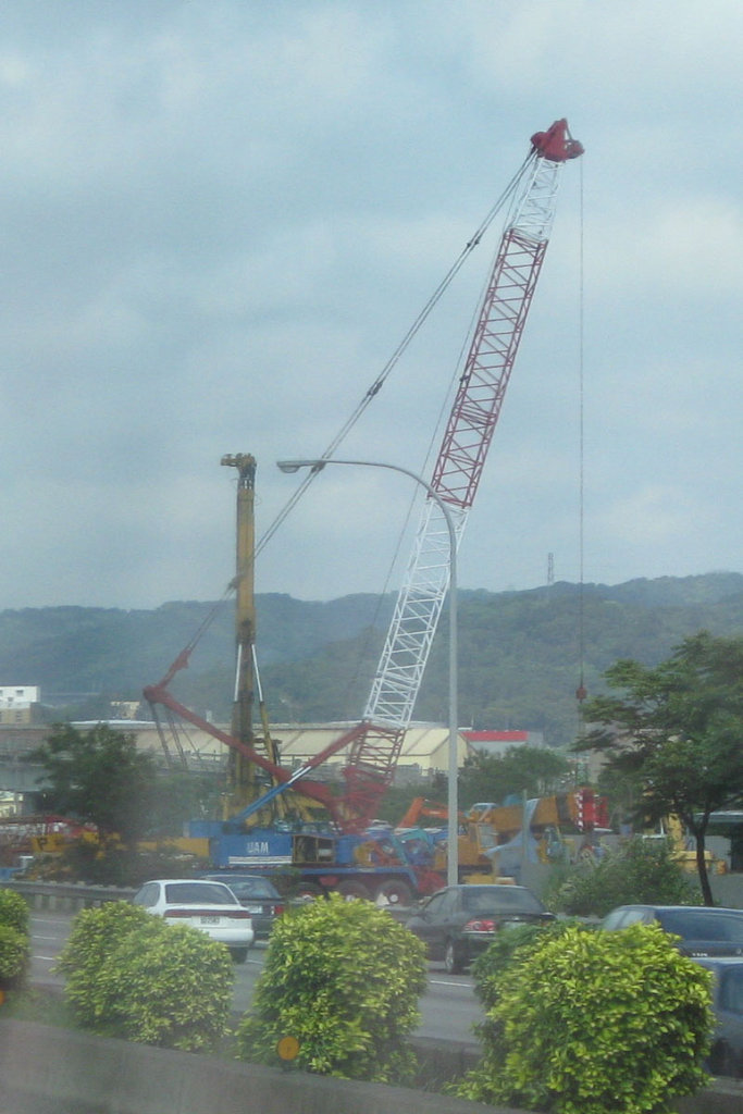 Taiwan Cranes 2008 27 Fotop Net Photo Sharing Network