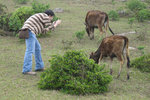 "Taking photo for cows 對牛攝影" Tap Mun 塔門, 5/4/2004.