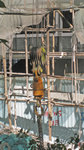 2008112904