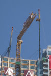 2008120215