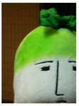 DSCN5160ed