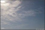 IMGP5024