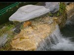 IMGP2324