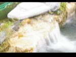 IMGP2326