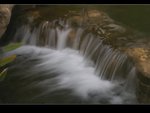 IMGP2331