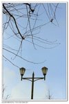 _MG_0646a