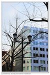 _MG_0647