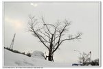 _MG_0666