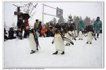 _MG_0696