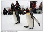 _MG_0697