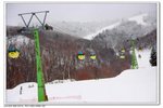 _MG_0804