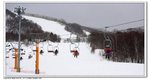 _MG_0808