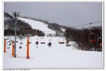 _MG_0809