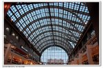 _MG_0971