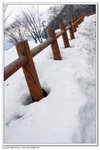 _MG_1358