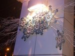 DSCF1168