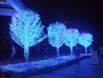 DSCF1170