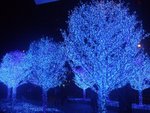 DSCF1174