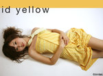 IDYellow20