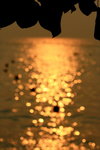 JC0018