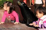 20070212_Ocean_Park_057