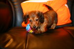 IMG_0964