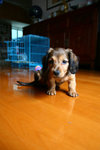 IMG_0984a