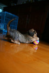 IMG_0986a