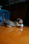IMG_0988a