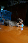 IMG_0989a