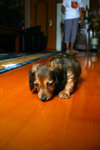 IMG_0994a