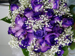 P2050067