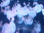 DSC00148