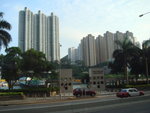 DSC00784