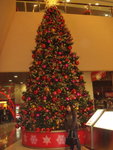 20/12/07 @mega box