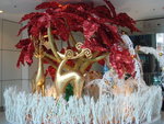 21/12/07 @ ifc