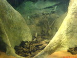 DSC00866
