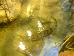 DSC00878