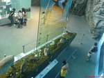 DSC00883