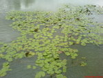 DSC00910