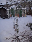 DSCN5392