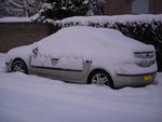 DSCN5465