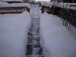 DSCN5504