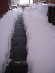 DSCN5507