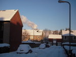 DSCN5516