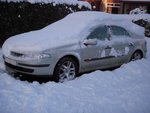 DSCN5517