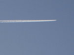 DSCN5518