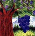 Grape (cover for fellowship publishing)