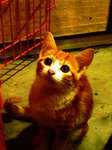 IMGP7552_