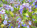 2007_02280107